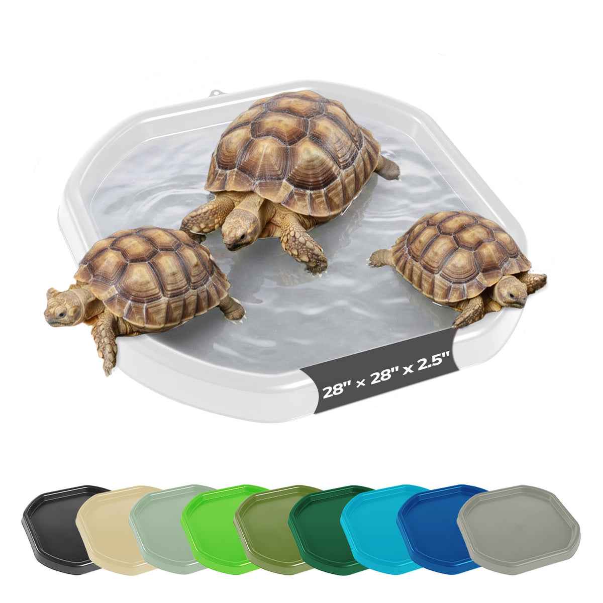 Tortoise Soaking Tray