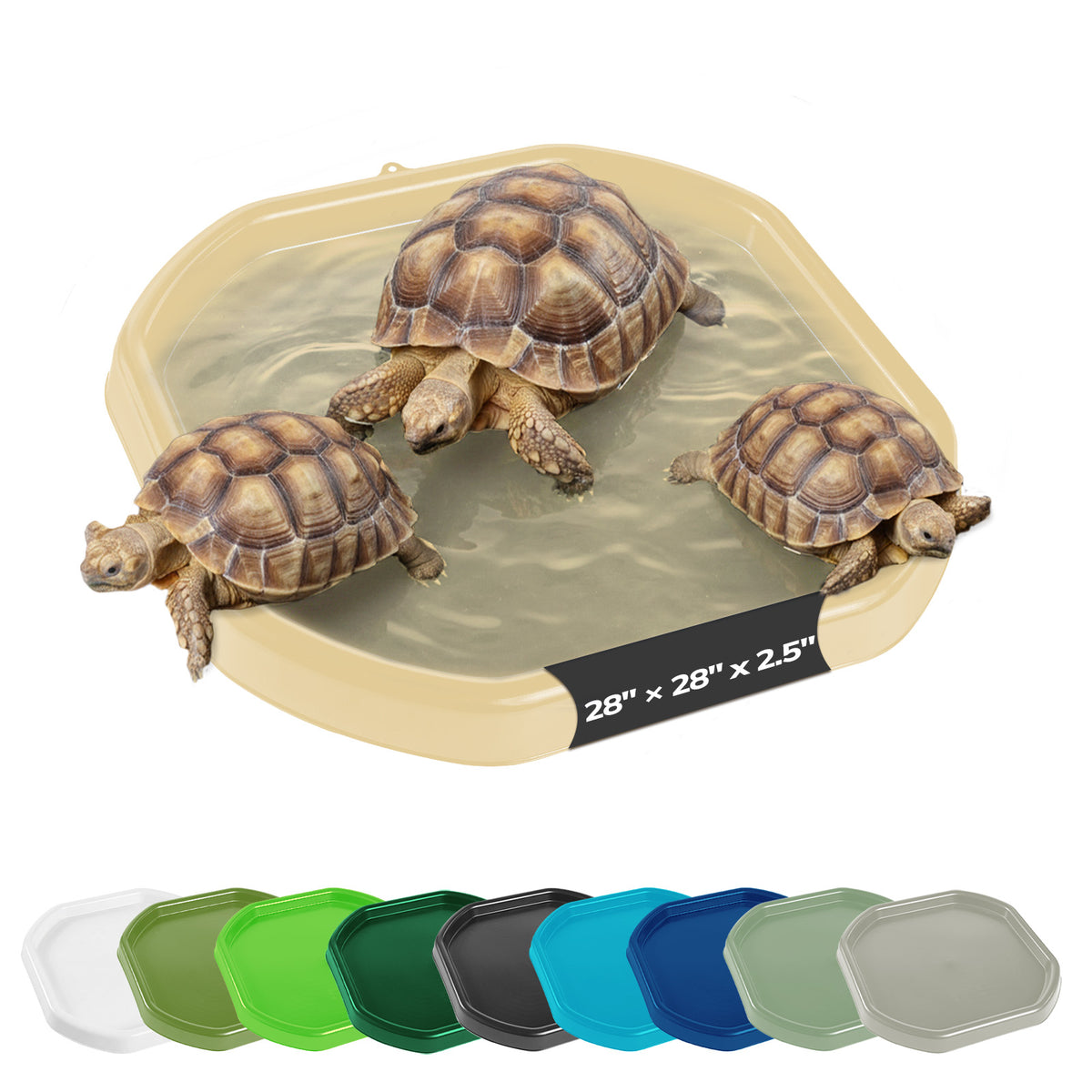 Tortoise Soaking Tray