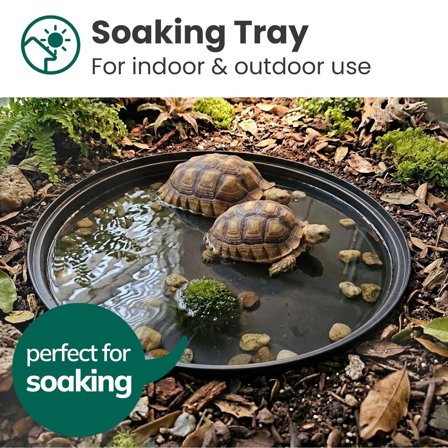 Deep Soaking Tray + Grass