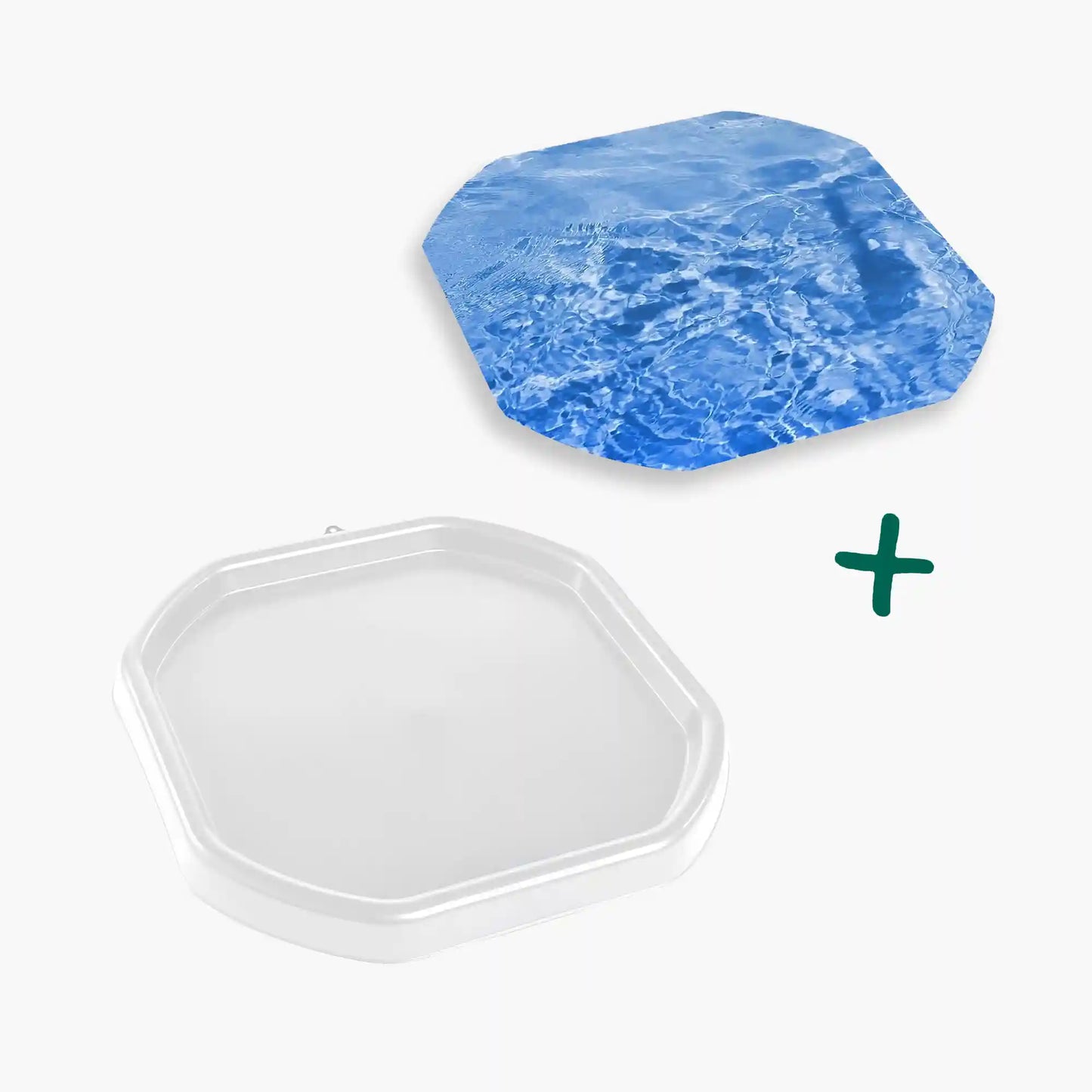 Tortoise Soaking Tray & Water Insert Bundle