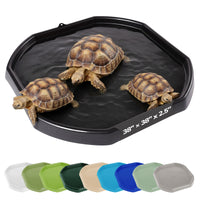 Tortoise Soaking Tray
