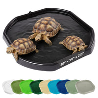 Tortoise Soaking Tray