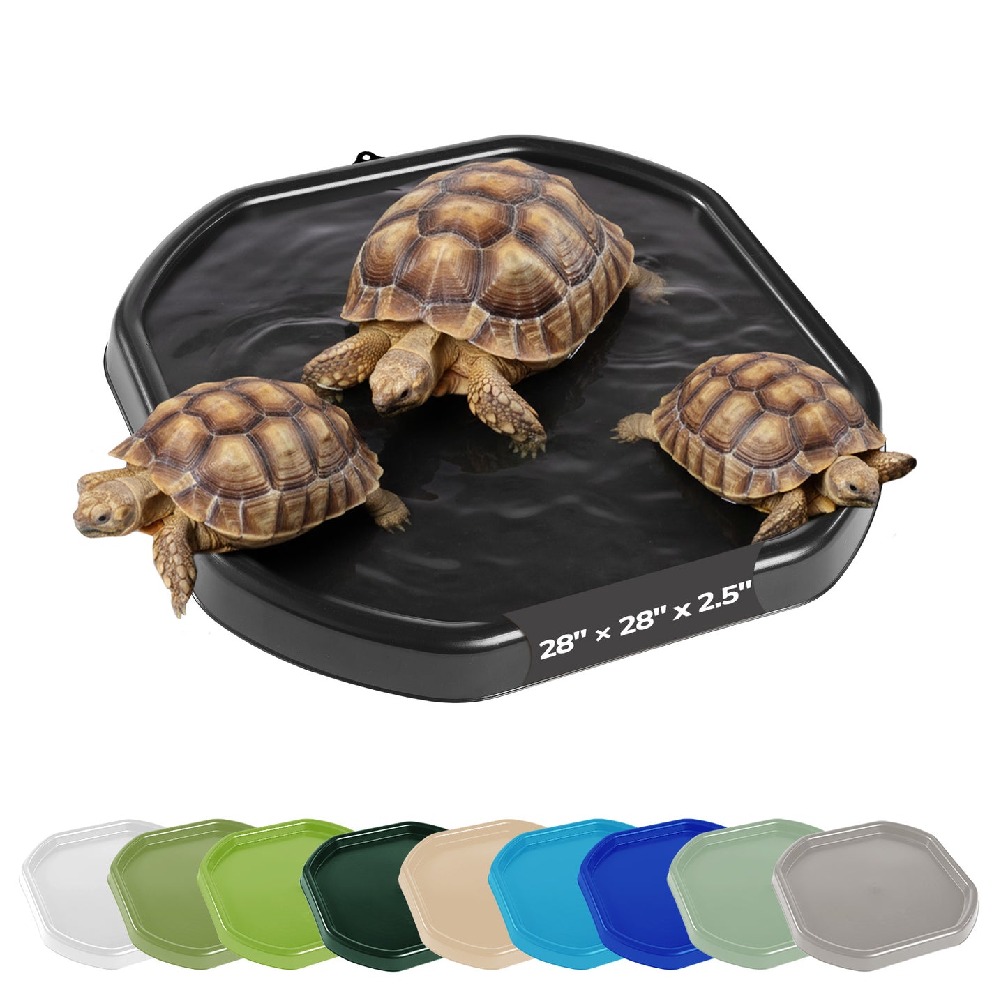 Tortoise Soaking Tray