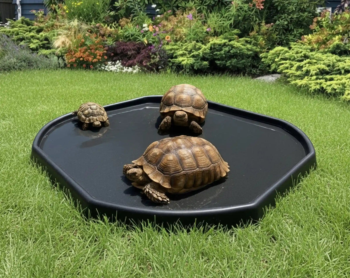 Tortoise Soaking Trays