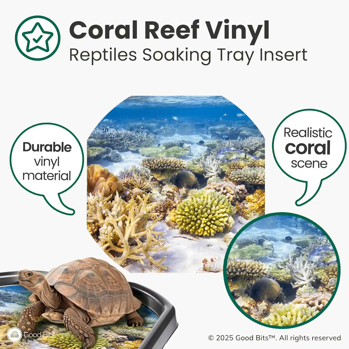 Insert Reef Coral Reef Insert for Tortoise Soaking Tray – Good Bits