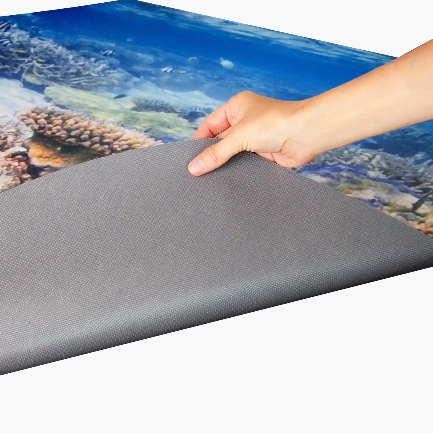 Coral Reef Insert for Tortoise Soaking Tray