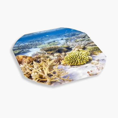 Coral Reef Insert for Tortoise Soaking Tray