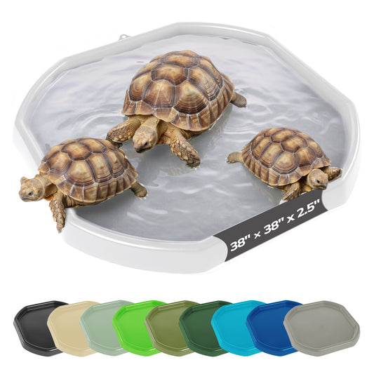 Tortoise Soaking Tray