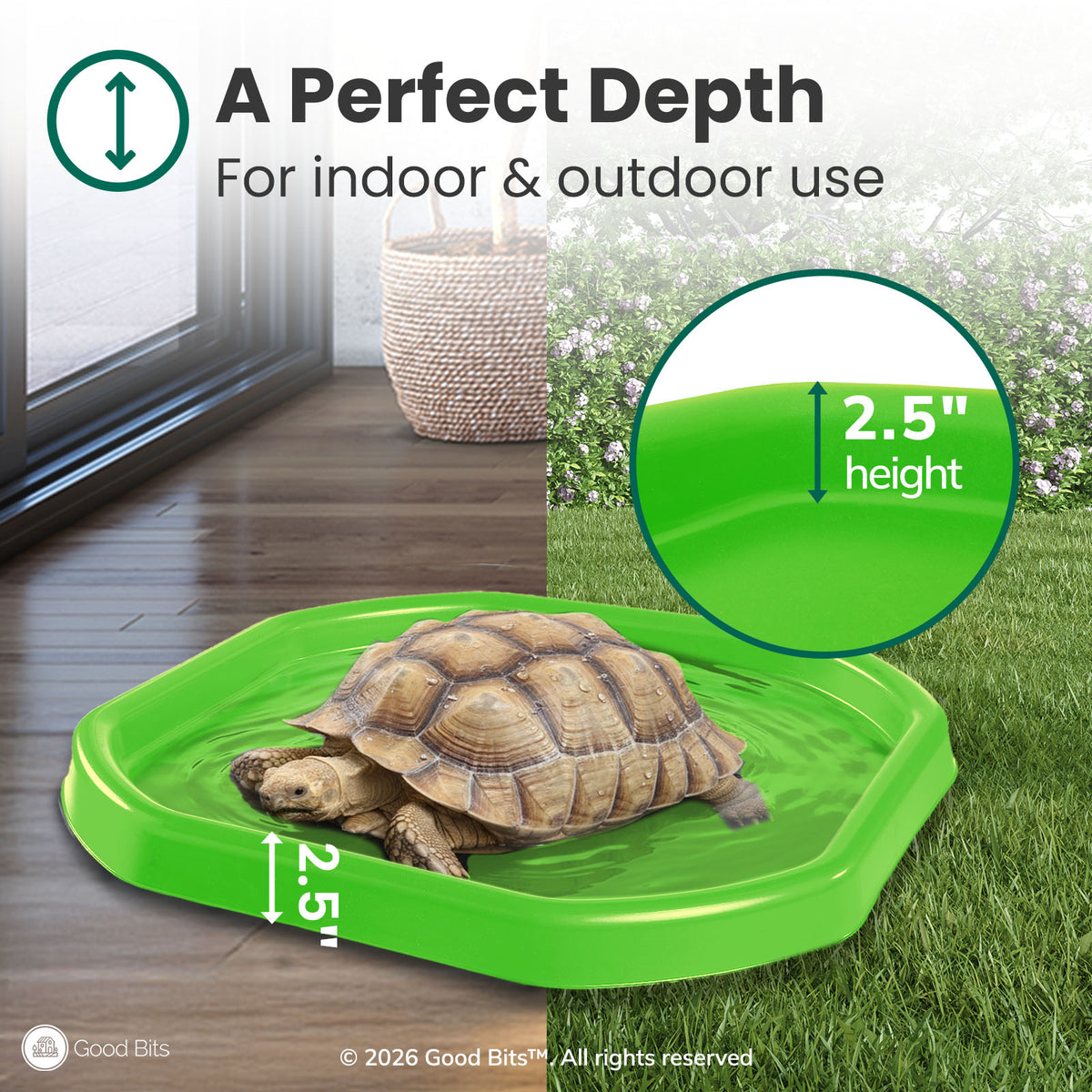 Tortoise Soaking Tray