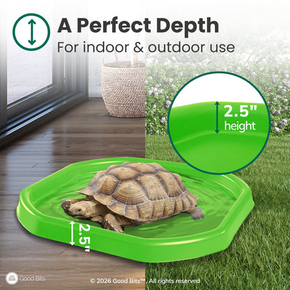 Tortoise Soaking Tray
