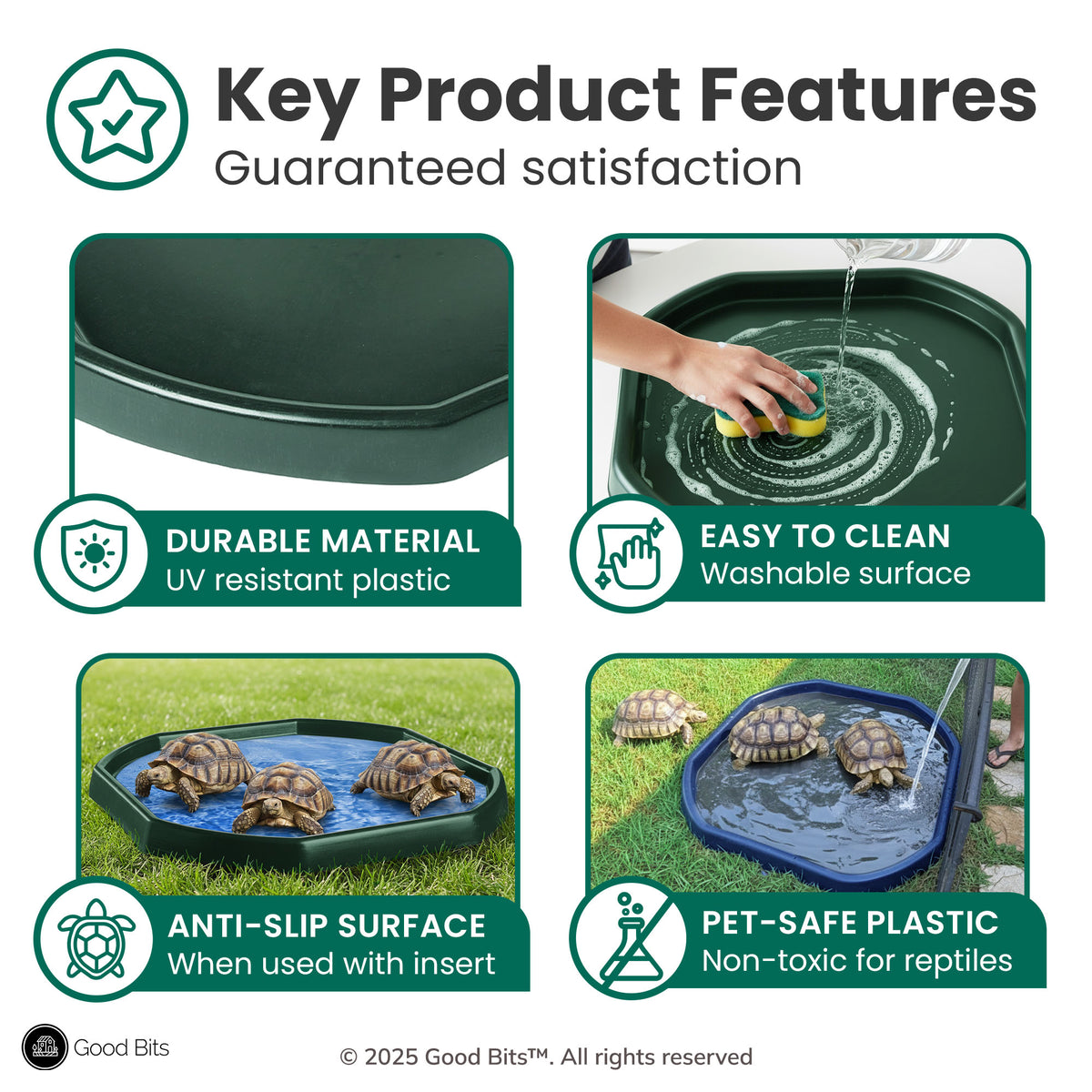 Tortoise Soaking Tray