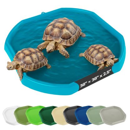 Tortoise Soaking Tray