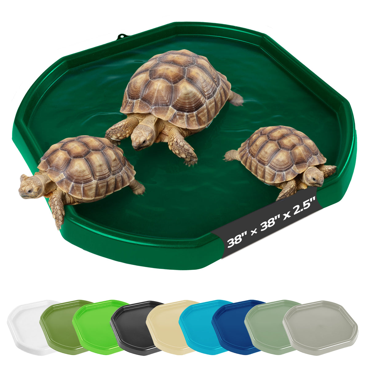 Tortoise Soaking Tray
