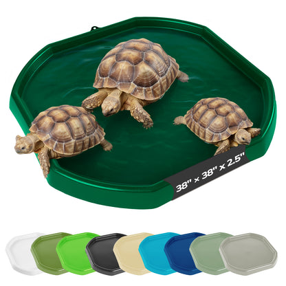 Tortoise Soaking Tray