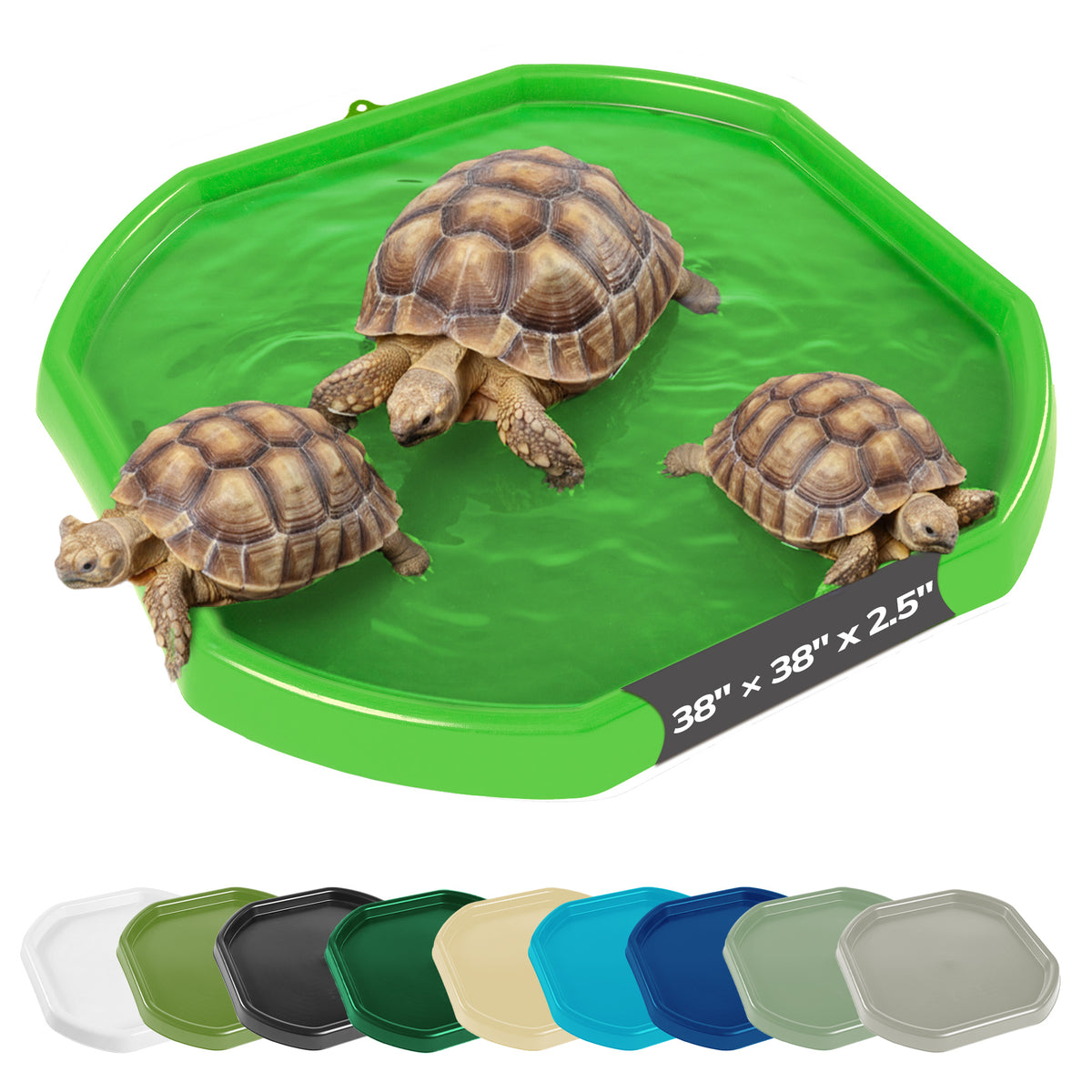 Tortoise Soaking Tray
