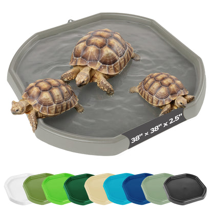 A gray octagonal turtle pool with shallow water, shown with three tortoises on a white background. A black size label on the pool reads 38 x 38 x 2.