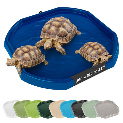 Tortoise Soaking Tray