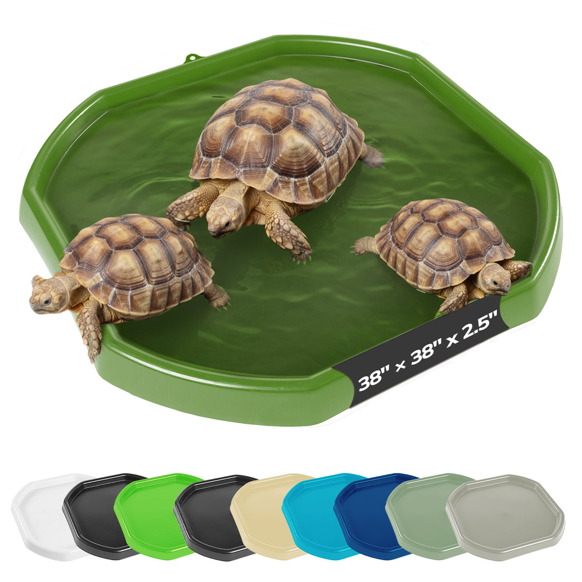 Tortoise Soaking Tray