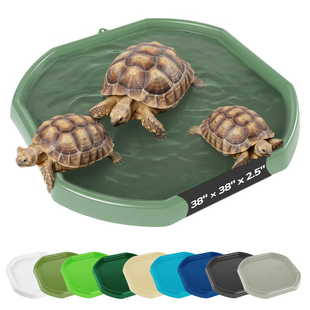 Tortoise Soaking Tray