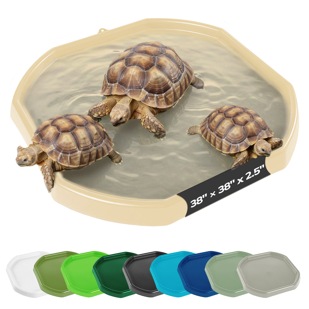 Tortoise Soaking Tray