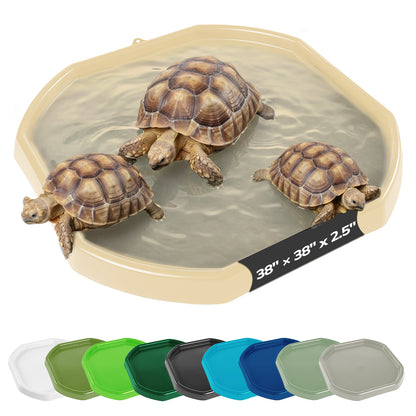Tortoise Soaking Tray