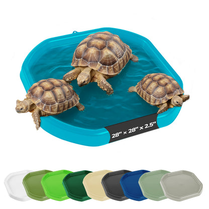 Tortoise Soaking Tray