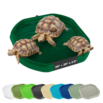Tortoise Soaking Tray