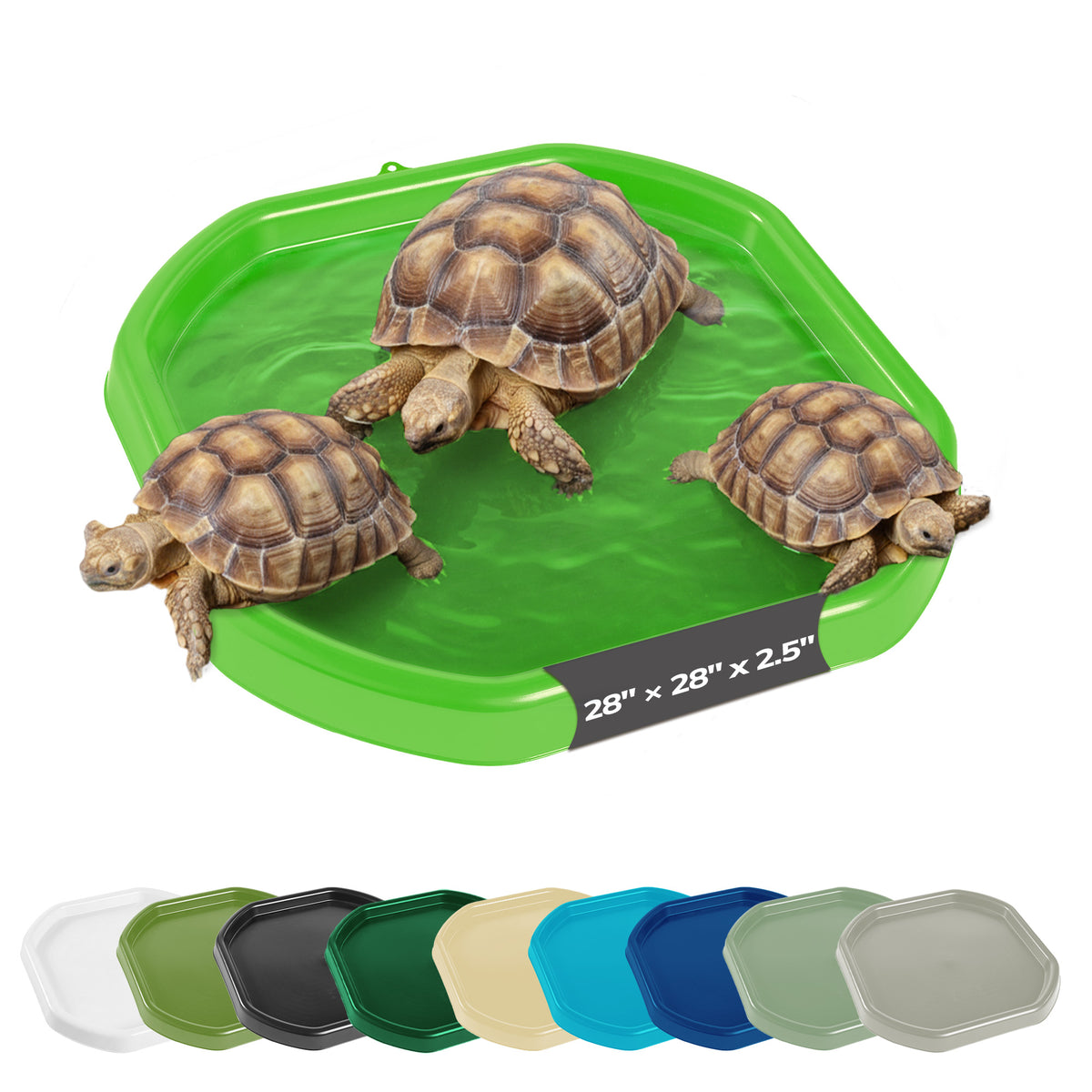 Tortoise Soaking Tray