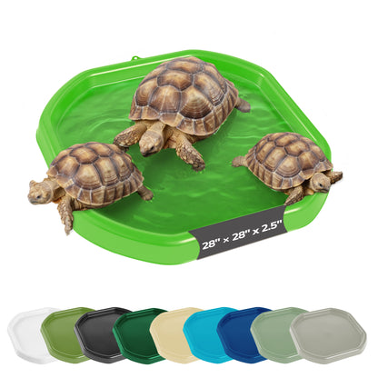 Tortoise Soaking Tray