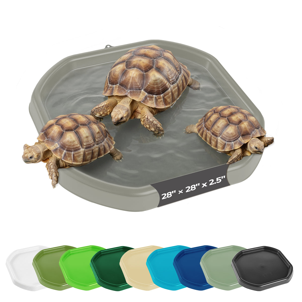 Gray octagonal turtle pool with three tortoises swimming inside, shown on a white background with a row of color options along the bottom.