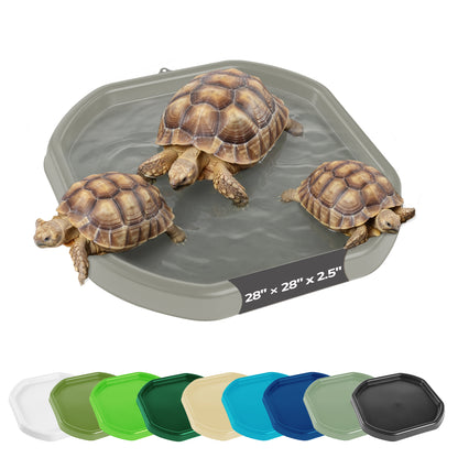 Gray octagonal turtle pool with three tortoises swimming inside, shown on a white background with a row of color options along the bottom.