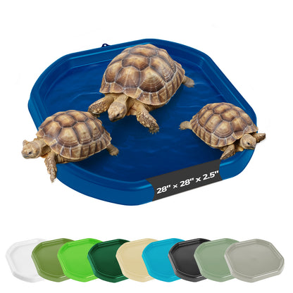 Tortoise Soaking Tray