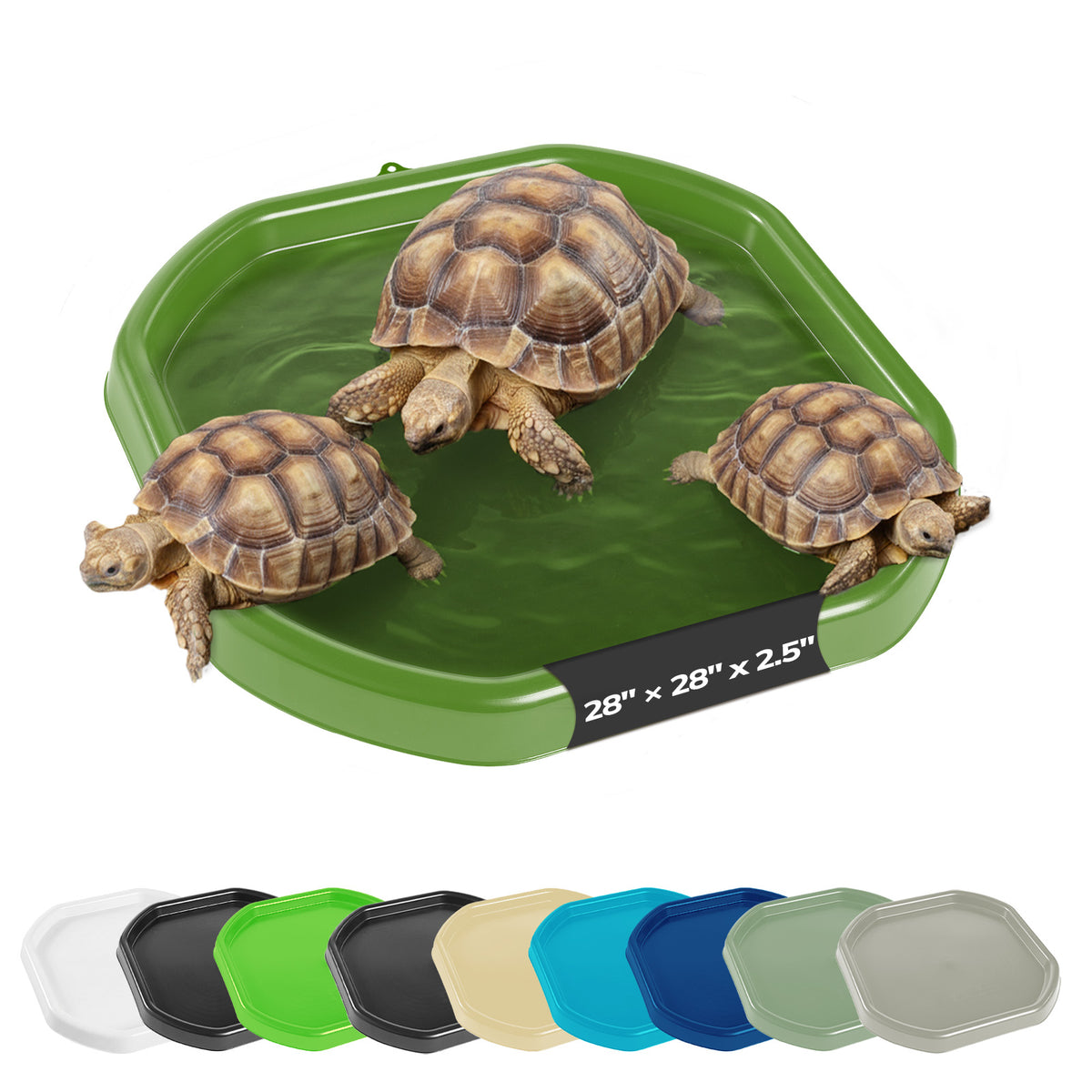 Tortoise Soaking Tray