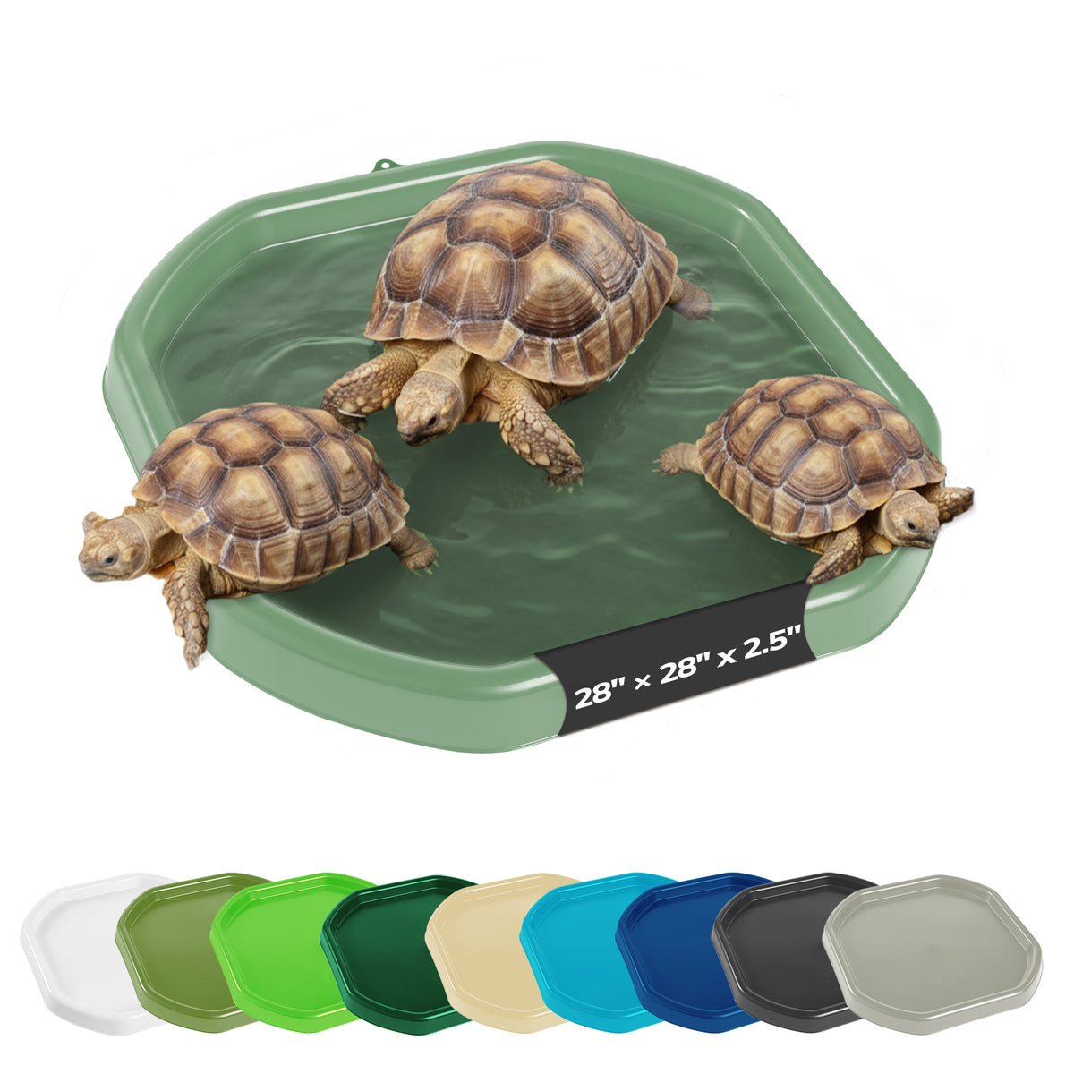 Tortoise Soaking Tray