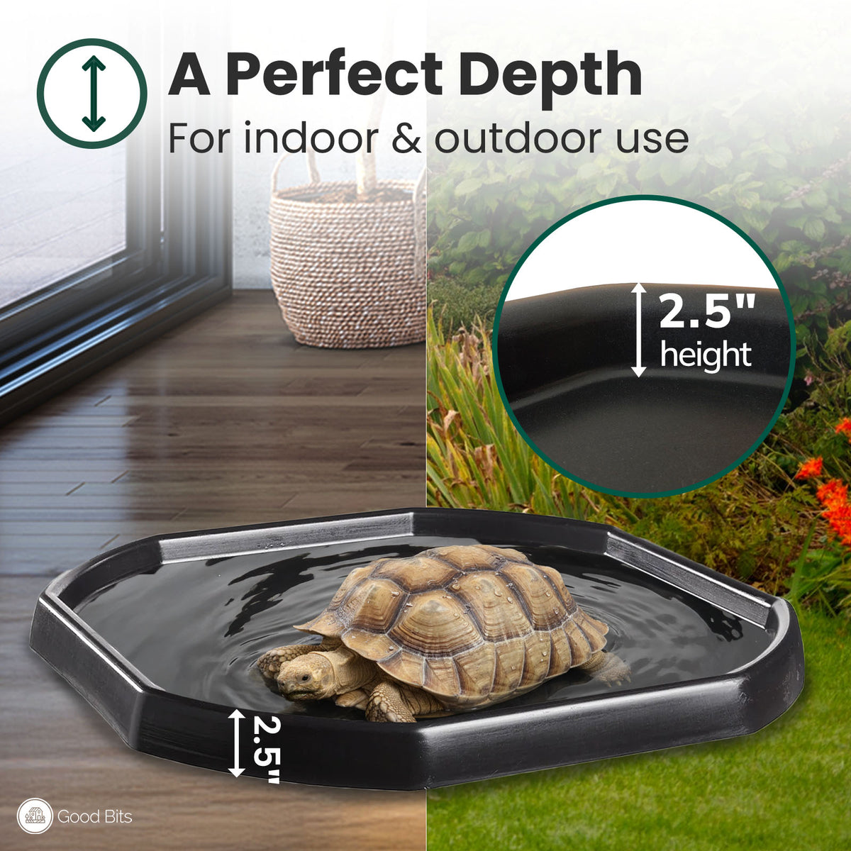 Tortoise Soaking Tray