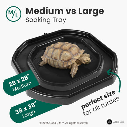 Tortoise Soaking Tray & Coral Reef Insert Bundle