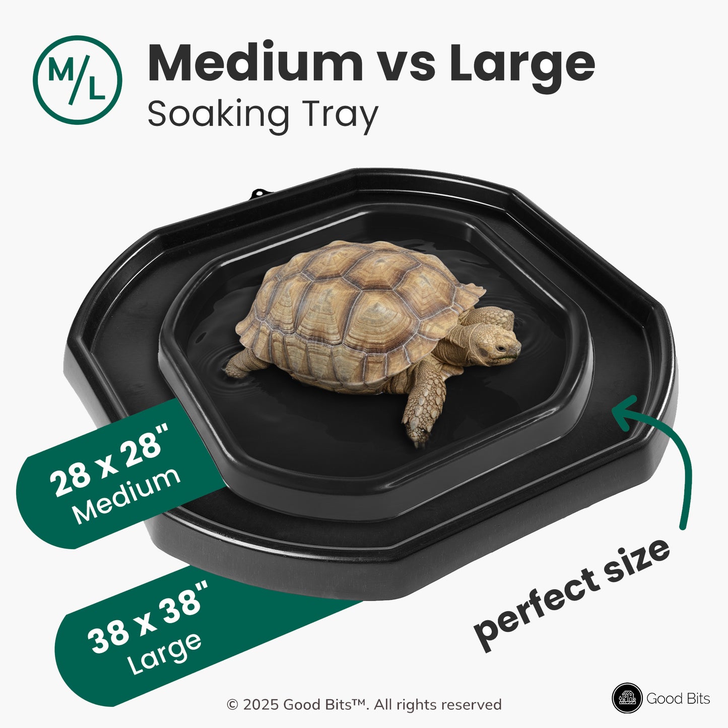 Tortoise Soaking Tray