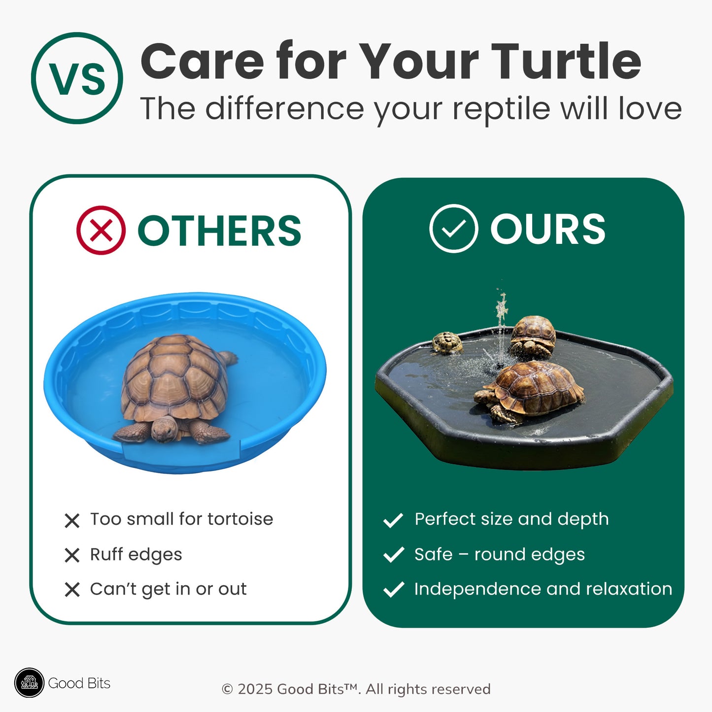 Tortoise Soaking Tray