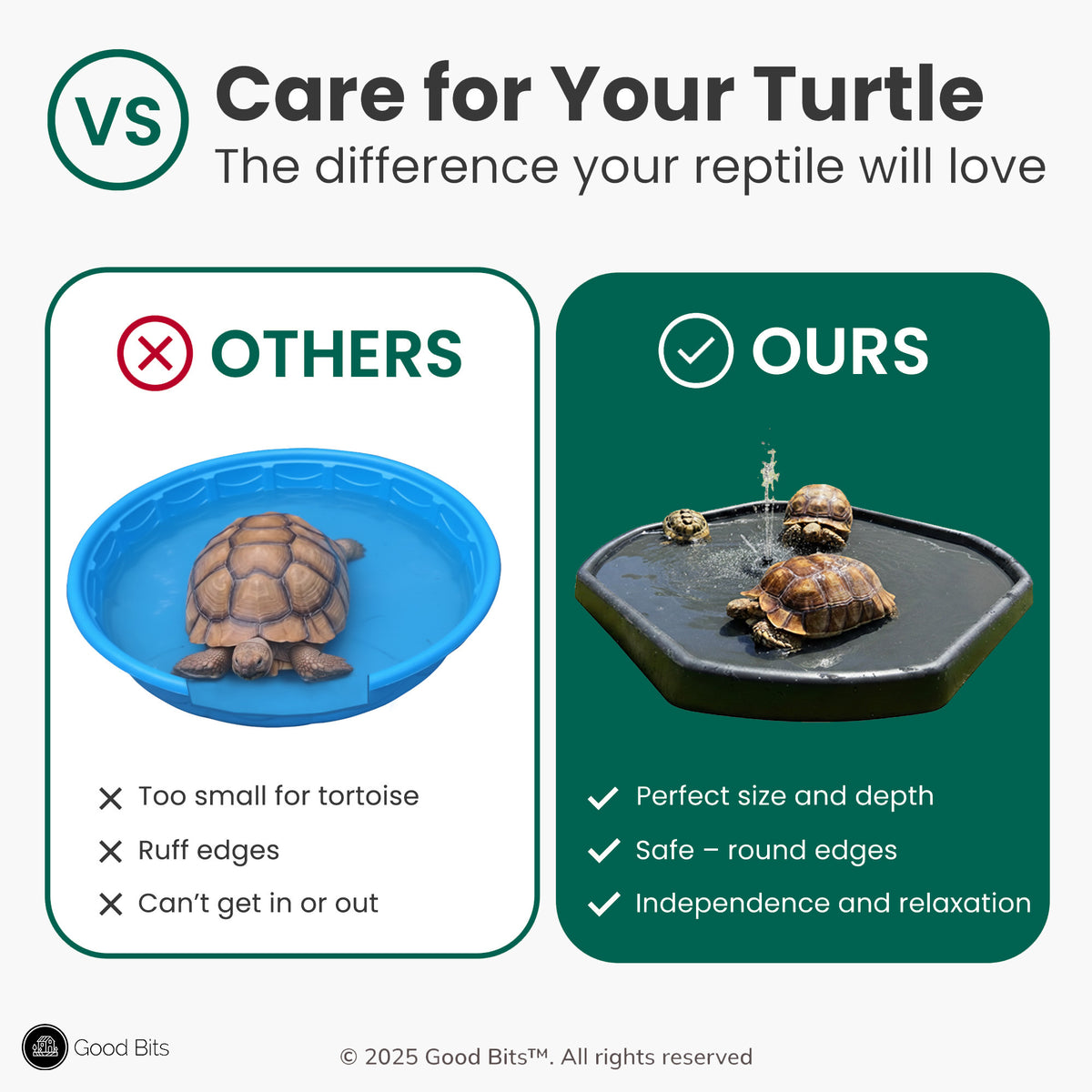 Tortoise Soaking Tray – Good Bits