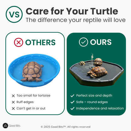 Tortoise Soaking Tray