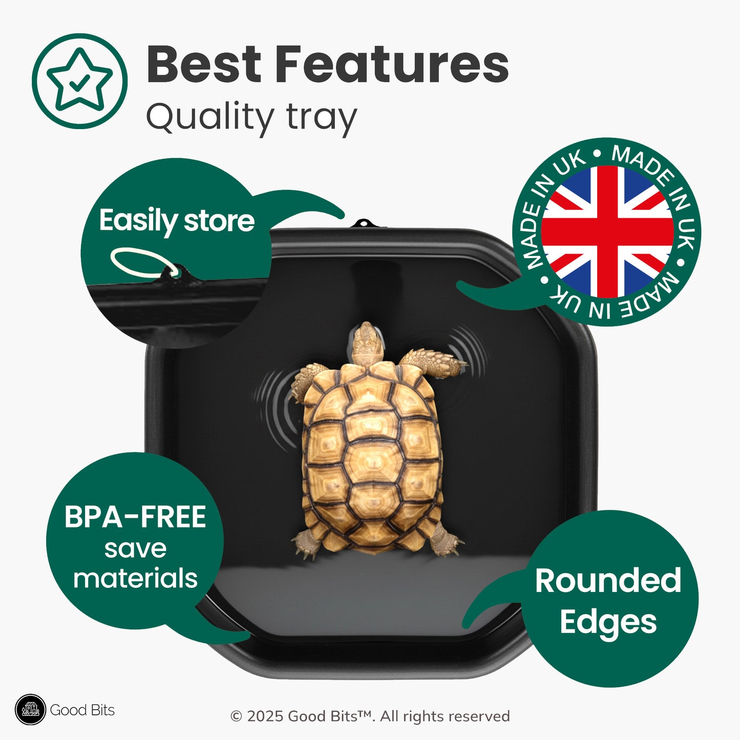 Tortoise Soaking Tray