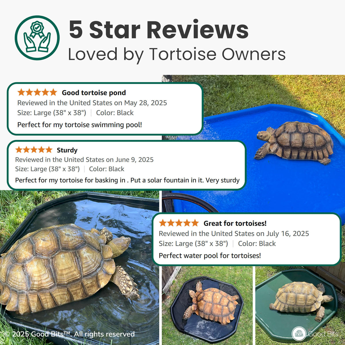 Tortoise Soaking Tray – Good Bits