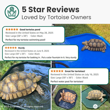 Tortoise Soaking Tray