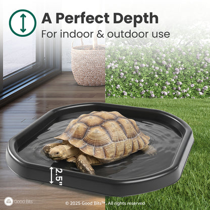 Tortoise Soaking Tray