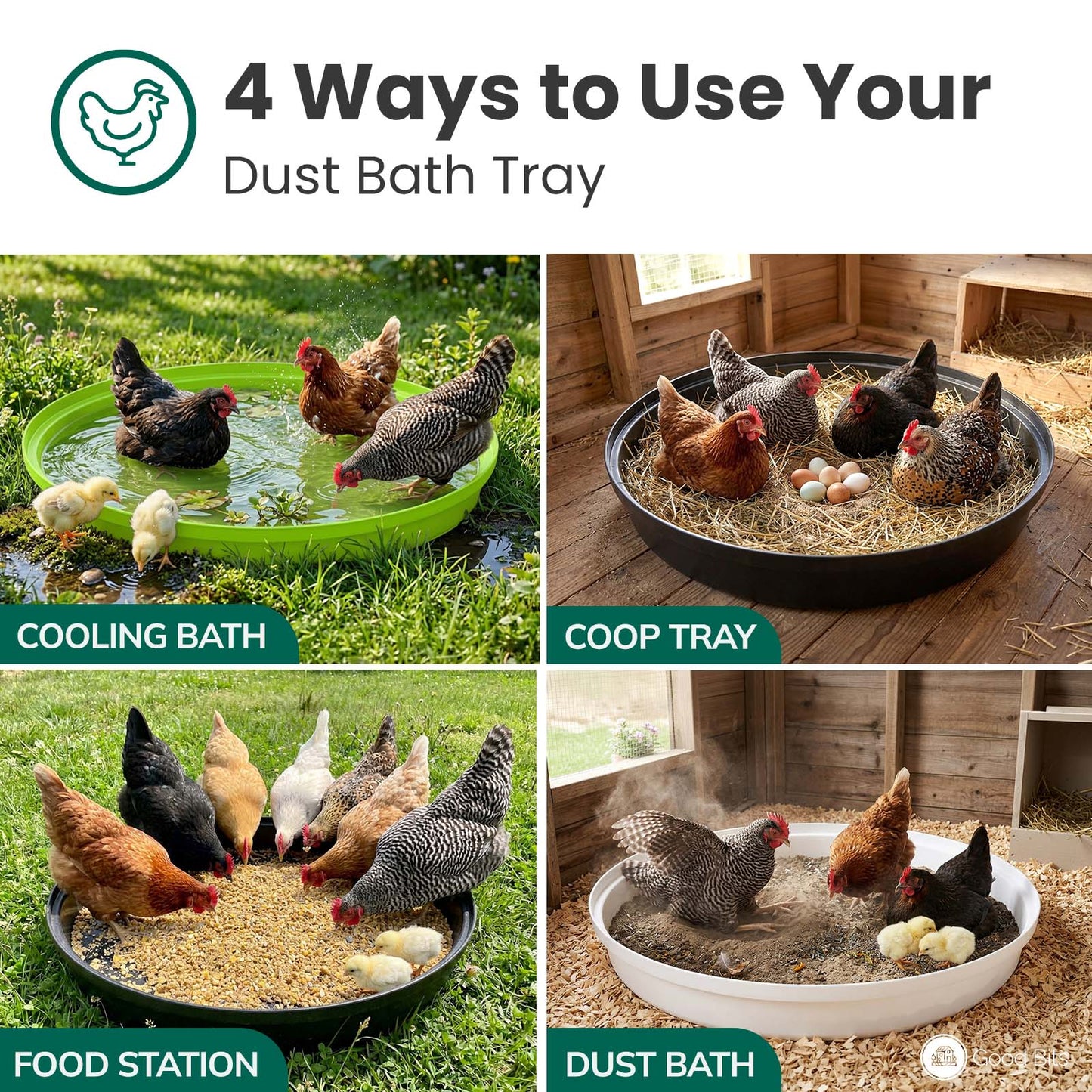 Dust Bath Tray