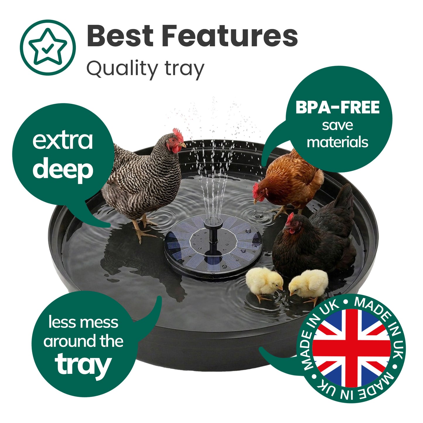 Dust Bath Tray