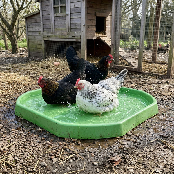 Perfect Outdoor Cooling Tray