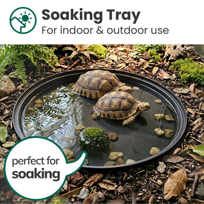 Deep Soaking Tray + Grass