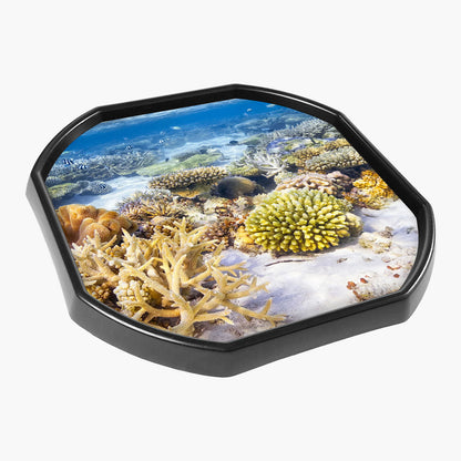 Tortoise Soaking Tray & Coral Reef Insert Bundle