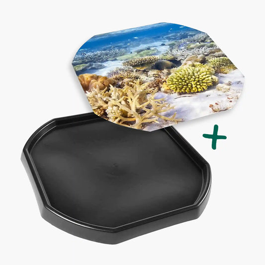 Tortoise Soaking Tray & Coral Reef Insert Bundle